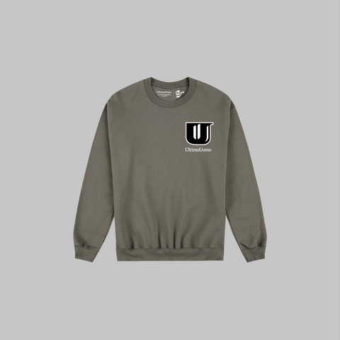 Felpa girocollo grigia