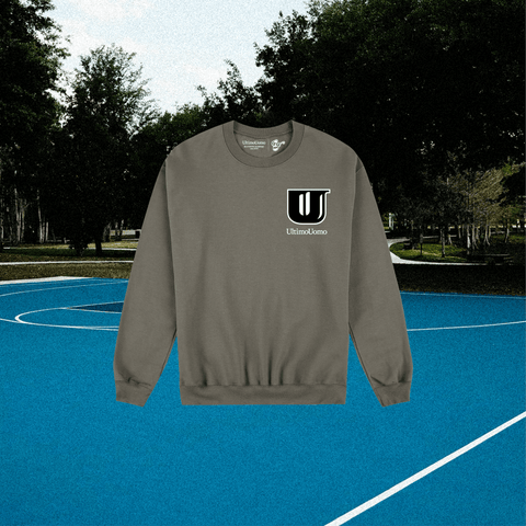 Felpa girocollo grigia